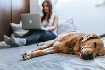 The advantages of owning your first home